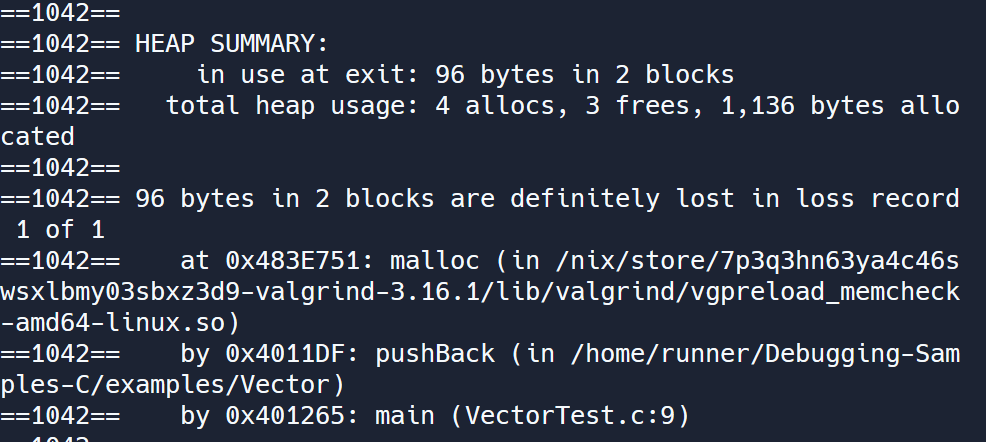 Valgrind error 3