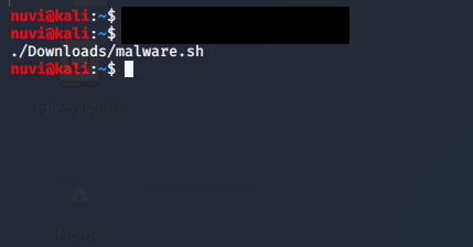 find command