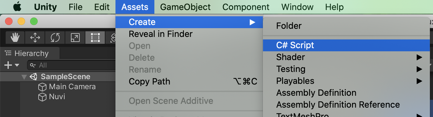 Creating a C# Script